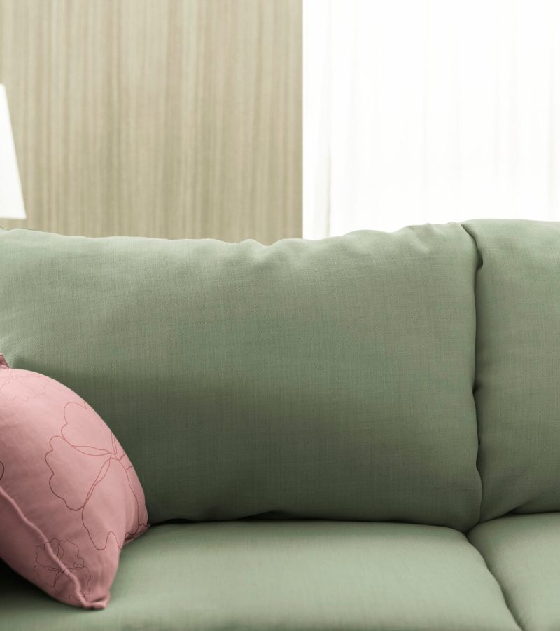 cuscino-del-divano-del-soggiorno-rosa-e-verde_53876-133343